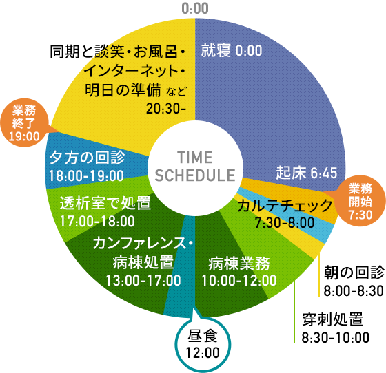 グラフ：スケジュールの円グラフ