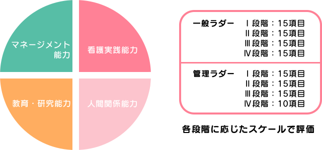 図：看護実践能力、人間関係能力、教育・研究能力、マネージメント能力を一般ラダー、管理ラダーの各段階に応じたスケールで評価します。