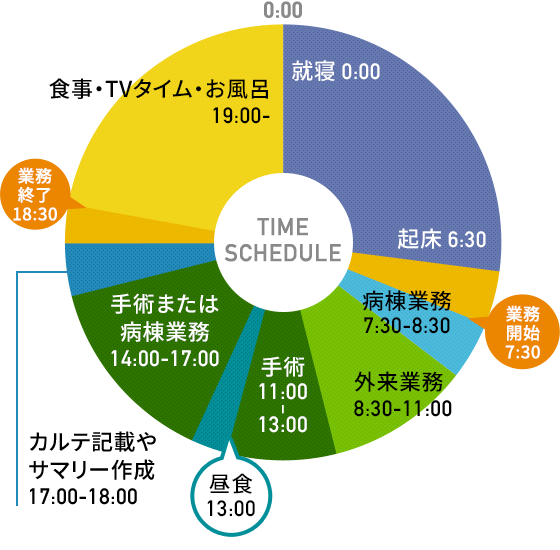 グラフ：スケジュールの円グラフ