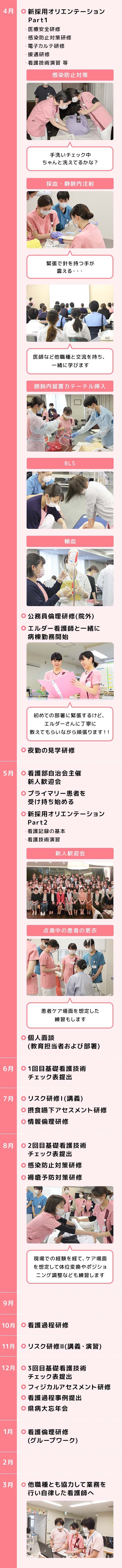 図：1年間の流れ