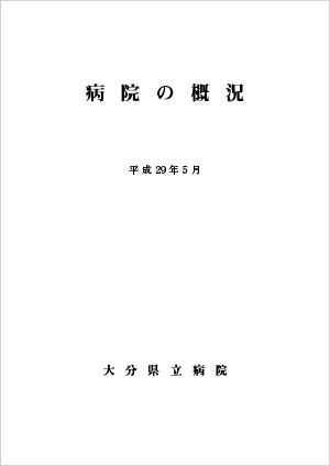 2017年病院の概況