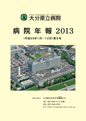 病院年報2013